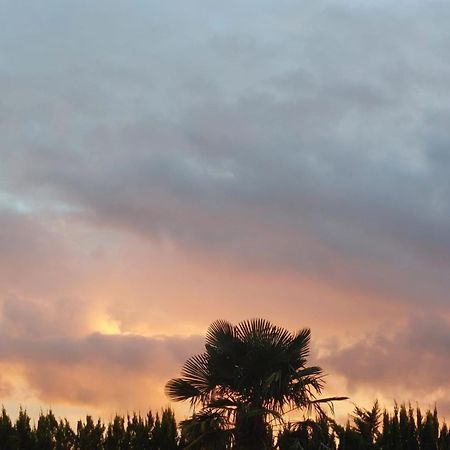 Lagalerne Bed & Breakfast Neuville-de-Poitou ภายนอก รูปภาพ