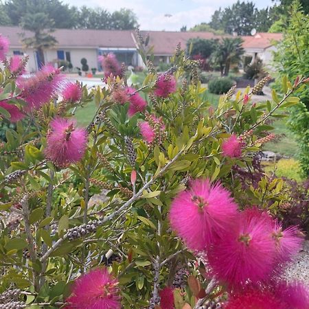 Lagalerne Bed & Breakfast Neuville-de-Poitou ภายนอก รูปภาพ