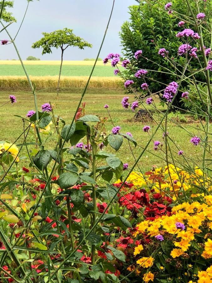 Lagalerne Bed & Breakfast Neuville-de-Poitou ภายนอก รูปภาพ