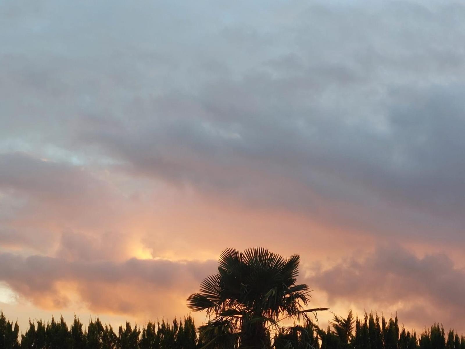 Lagalerne Bed & Breakfast Neuville-de-Poitou ภายนอก รูปภาพ