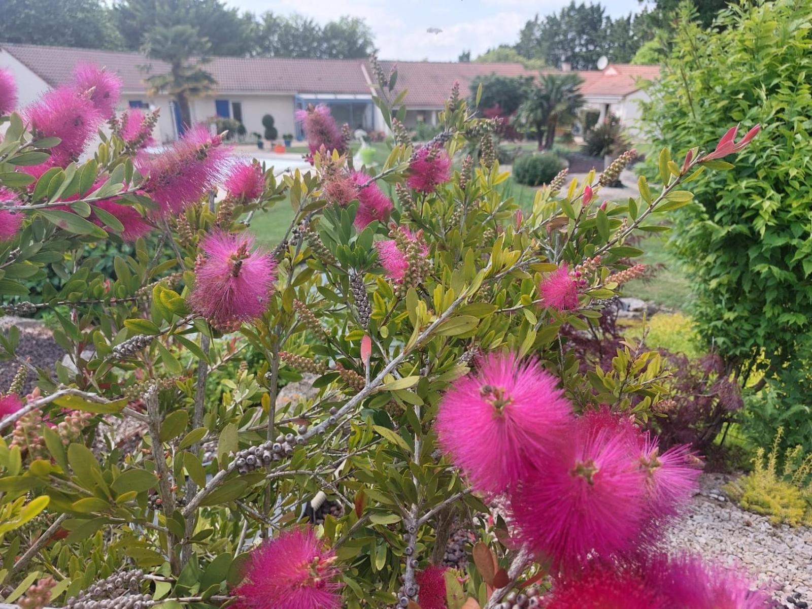 Lagalerne Bed & Breakfast Neuville-de-Poitou ภายนอก รูปภาพ