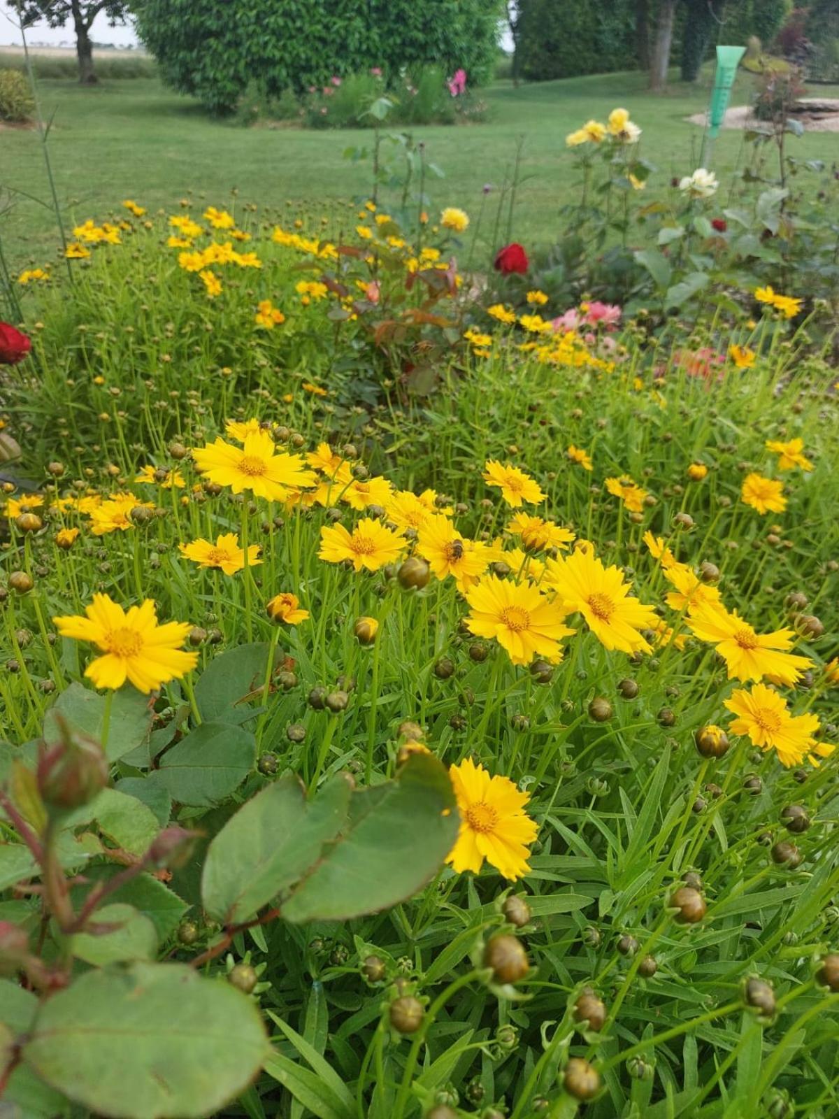 Lagalerne Bed & Breakfast Neuville-de-Poitou ภายนอก รูปภาพ