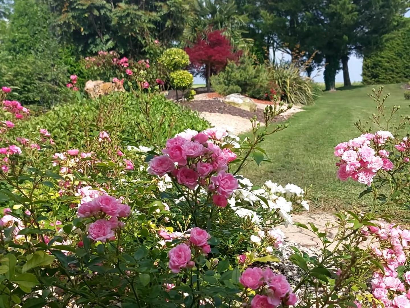 Lagalerne Bed & Breakfast Neuville-de-Poitou ภายนอก รูปภาพ